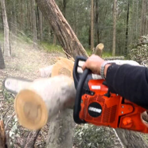 maxresdefault10