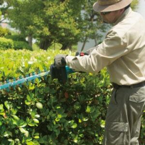 may-tia-hang-rao-dung-pin-makita-duh502z-3